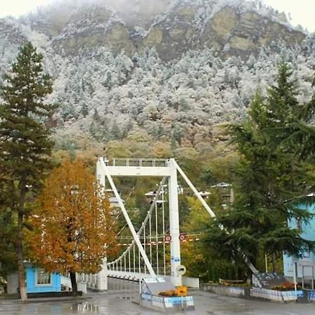 Tamarioni Hotel Borjomi Esterno foto