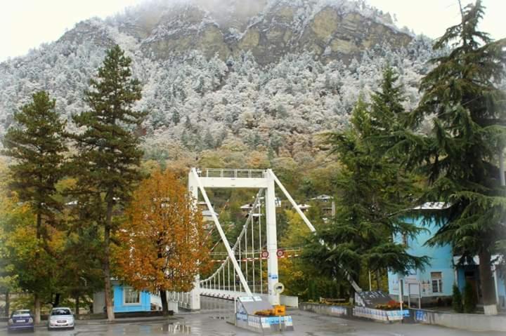 Tamarioni Hotel Borjomi Esterno foto